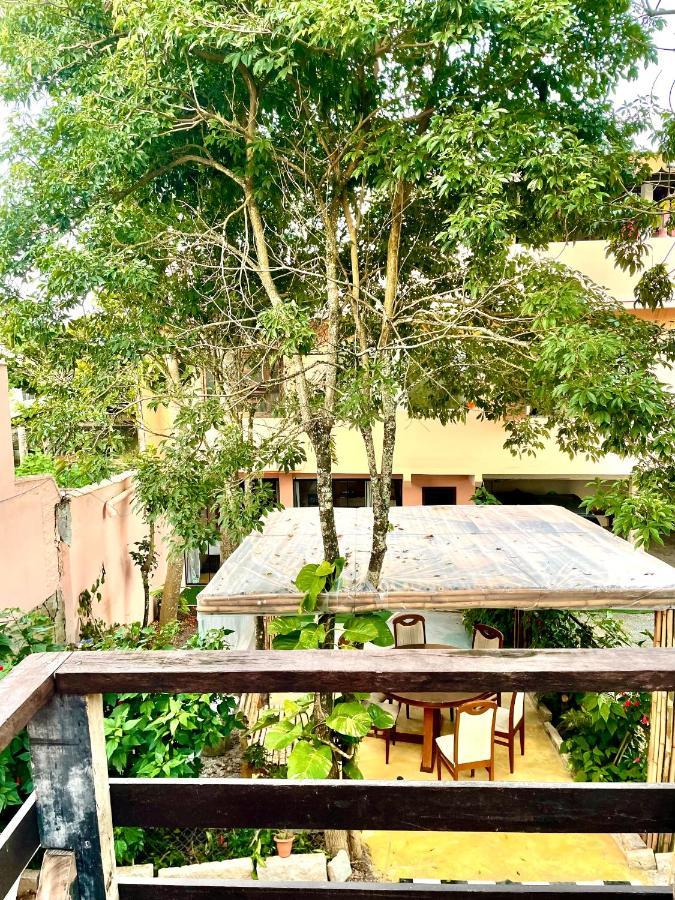 Pousada Happy Hostel Sao Francisco do Sul Exterior photo